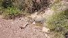 Placer gold mining claims for sale Wickenburg, AZ San Francisco California